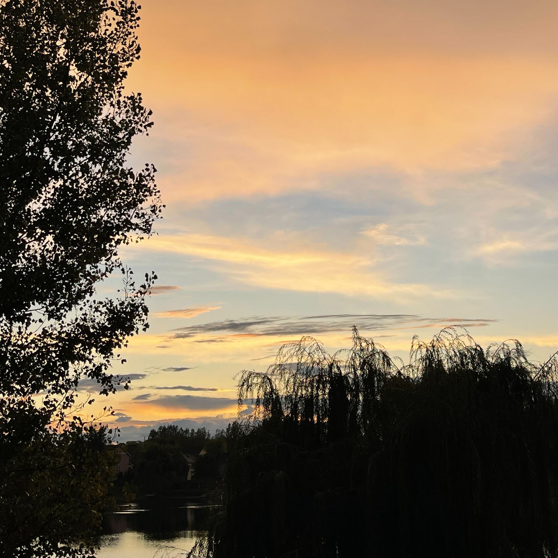 Beautiful sunset with candy colored skies over a lake with darkened trees in the front.