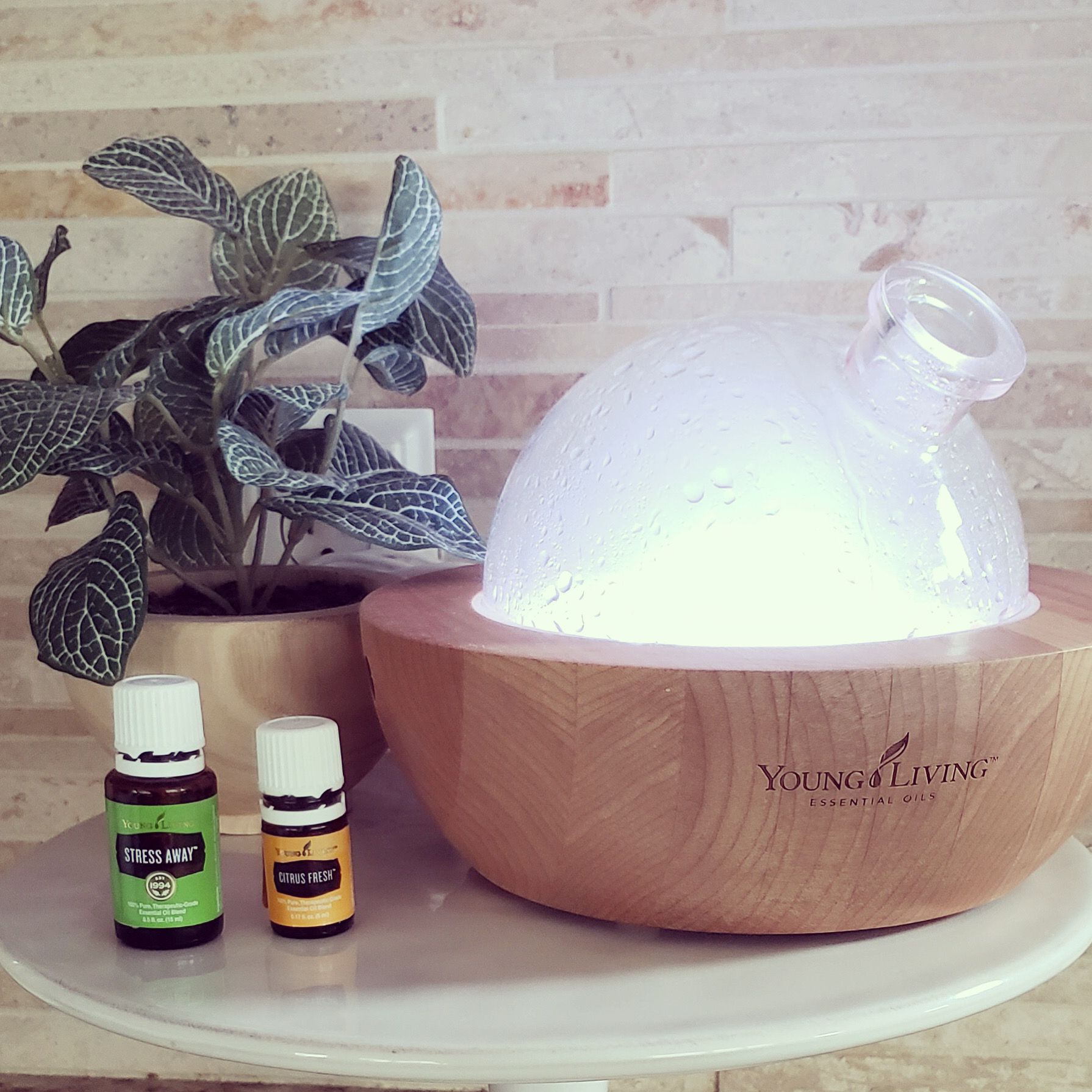 Close up photo of  Aria Diffuser with Young Living Essential Oils Stress Away and Citrus Fresh