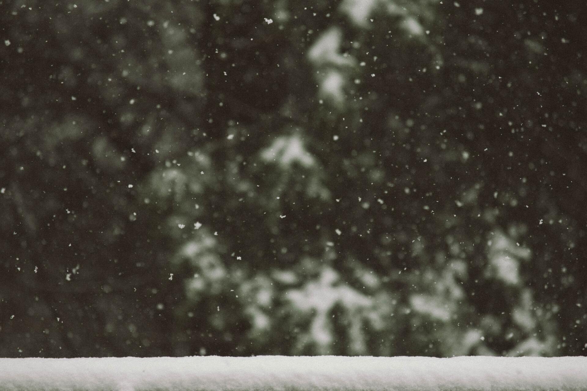 winter snow falling down deck rail covered in snow evergreen trees faded in background