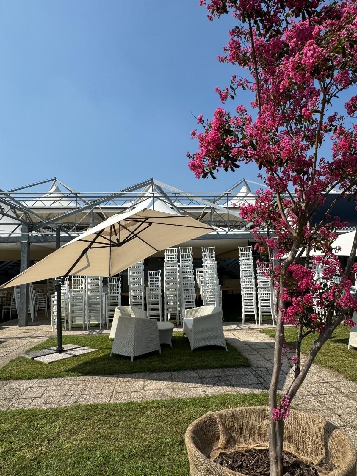 Spazio per eventi all'aperto con mobili bianchi, ombrellone e sedie impilate, sotto un cielo azzurro. Albero in fiore rosa in primo piano.