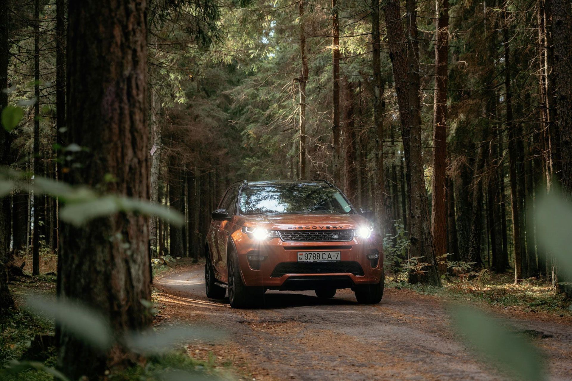 Land Rover driving in forest