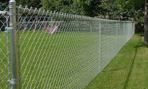 A chain link fence is surrounding a lush green yard.