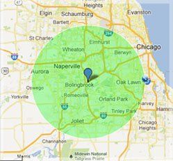 Pest Prevention — Business Service Area in Chicago IL