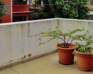 Dos trabajadores de la construcción construyen un marco de techo de madera al aire libre en un día soleado.