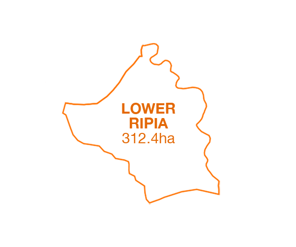lower ripia map