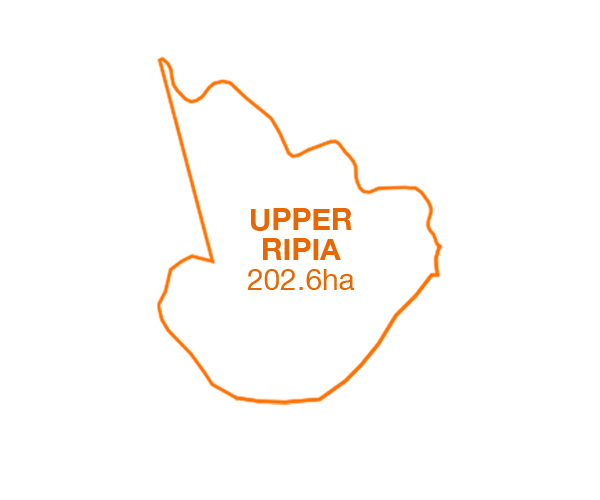 upper ripia map