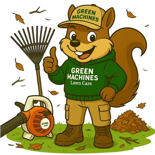 Squirrel mascot wearing hat and sweatshirt, mowing lawn with red mower.