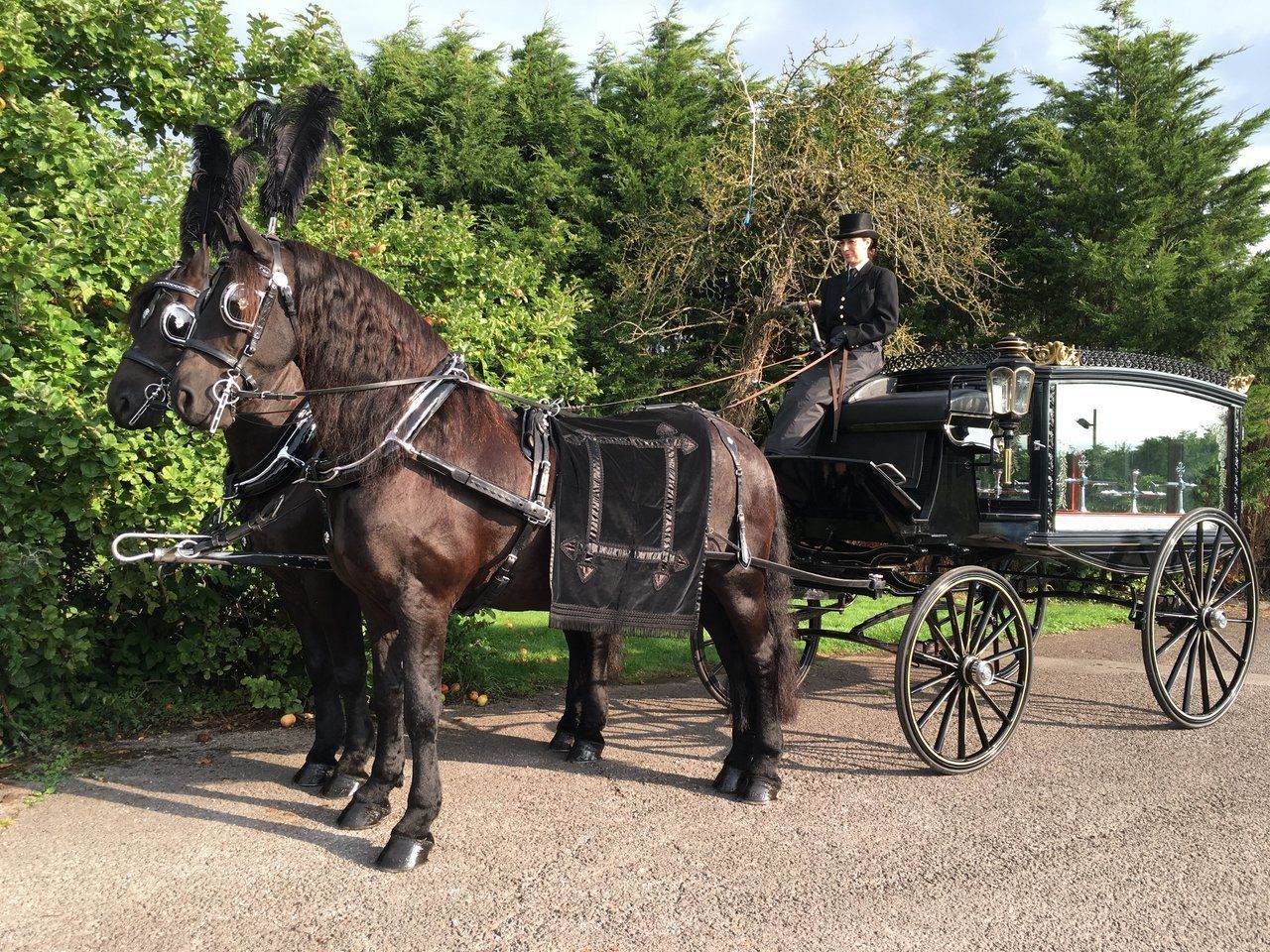 Horse Drawn Funeral Services