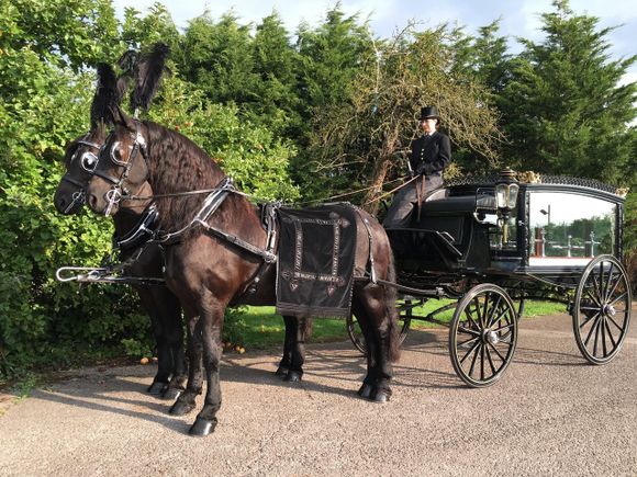 Horse Drawn Funeral Services