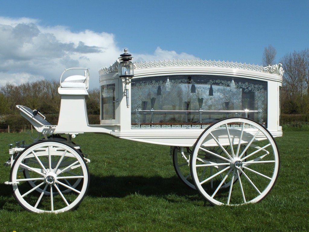 White hearse for horse drawn funeral service
