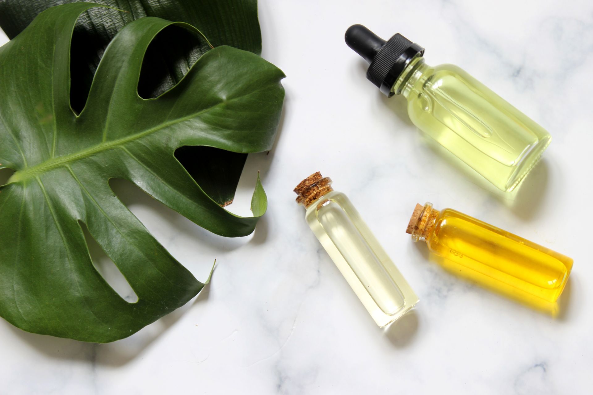 Three essential oil bottles beside a green monstera leaf on a white surface