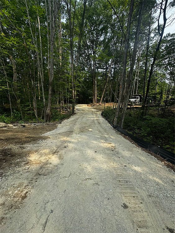 Gravel road through a forest; trees line both sides of the path.