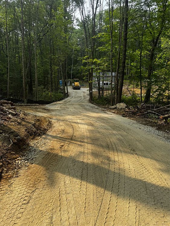 Gravel road leading into a forest, with a road roller compacting the surface.