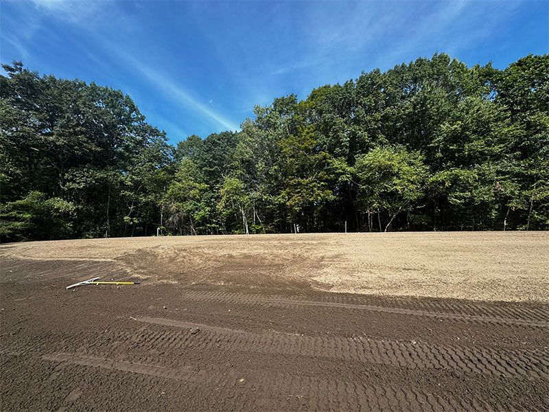 Cleared land area in front of a forest, under a blue sky with some clouds.
