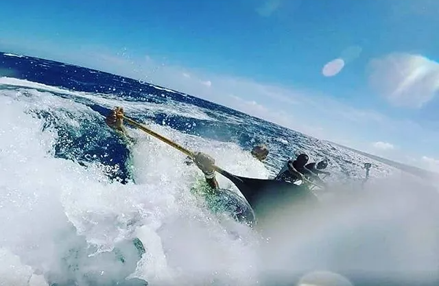 A person is riding a wave on a surfboard in the ocean.
