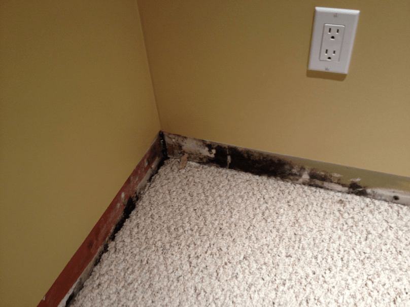 foundation wall crack repair Calgary