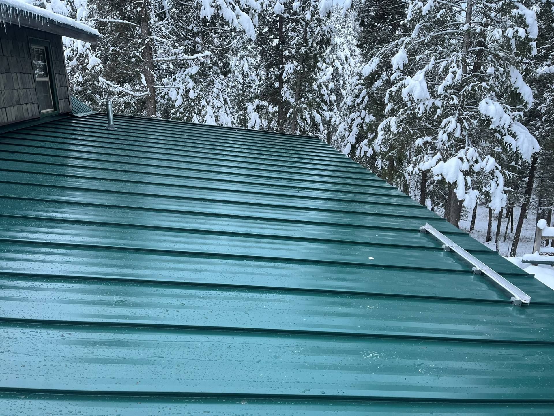 Snow-covered teal metal roof with trees in the background