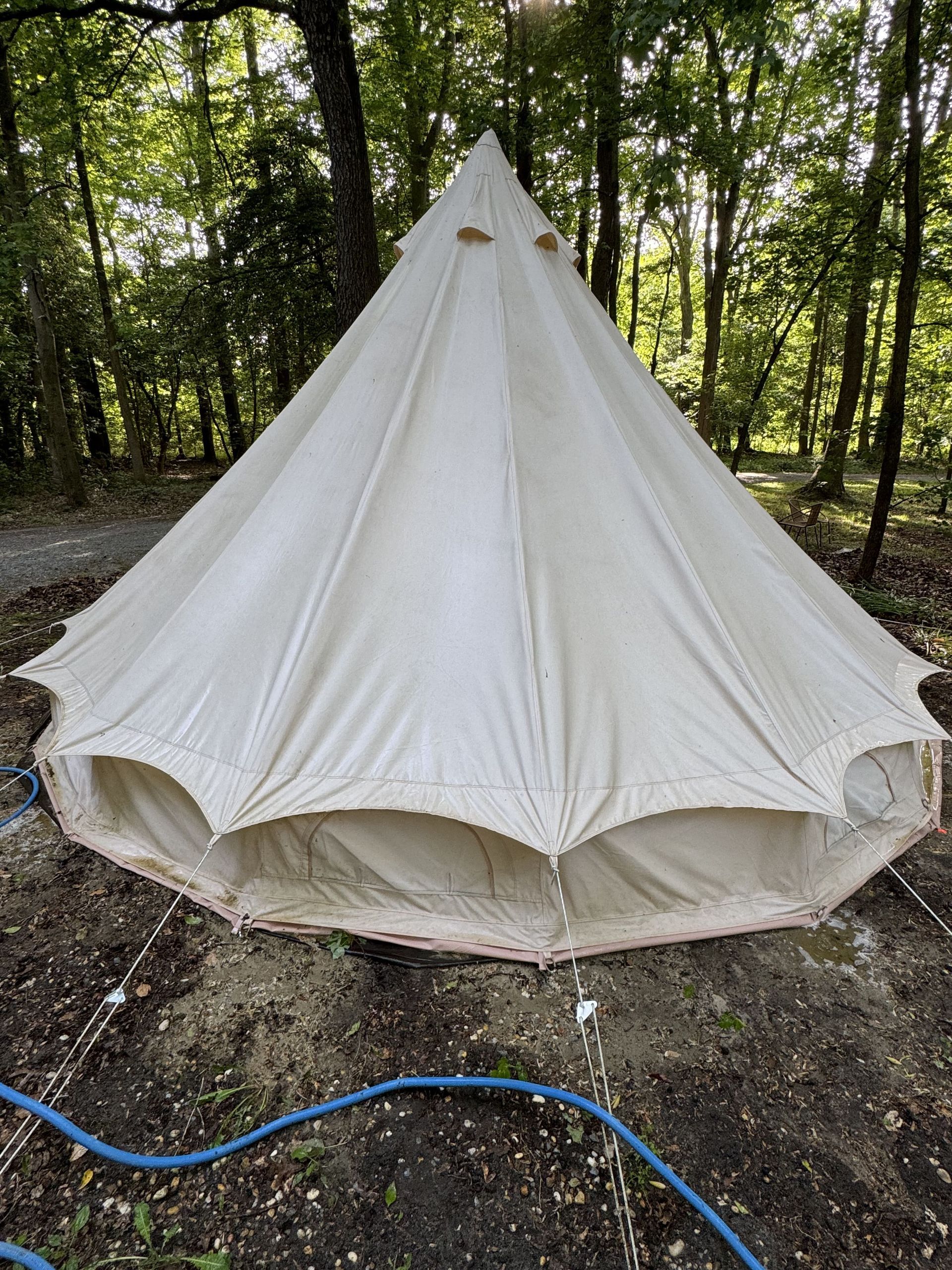 soft washing after