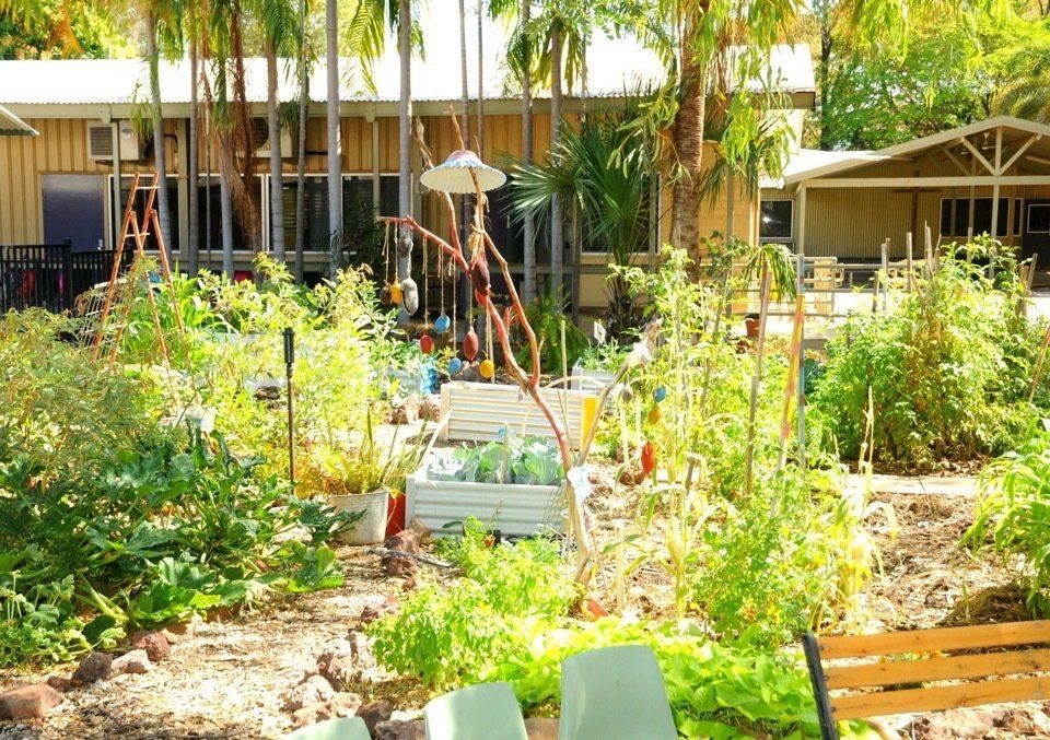St Joseph's Catholic Primary School school tropical garden