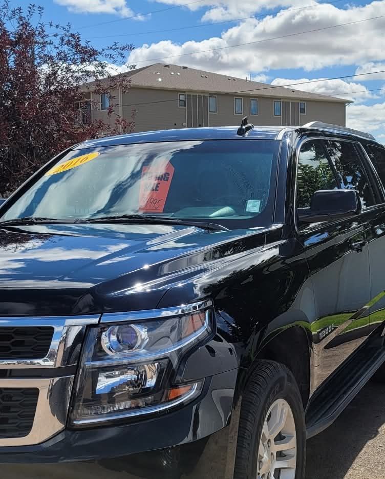 A gloved hand applies a black coating to a red car's glossy finish.
