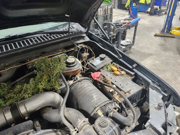 A close up of a car engine with the hood open in a garage.