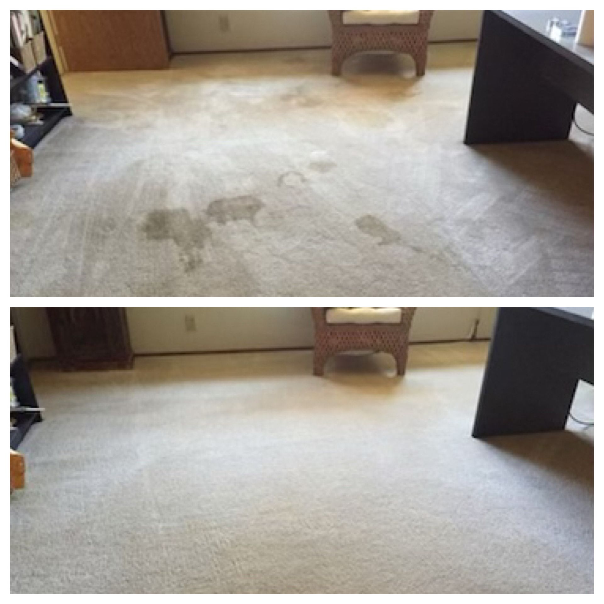 A before and after photo of a carpet in a living room.