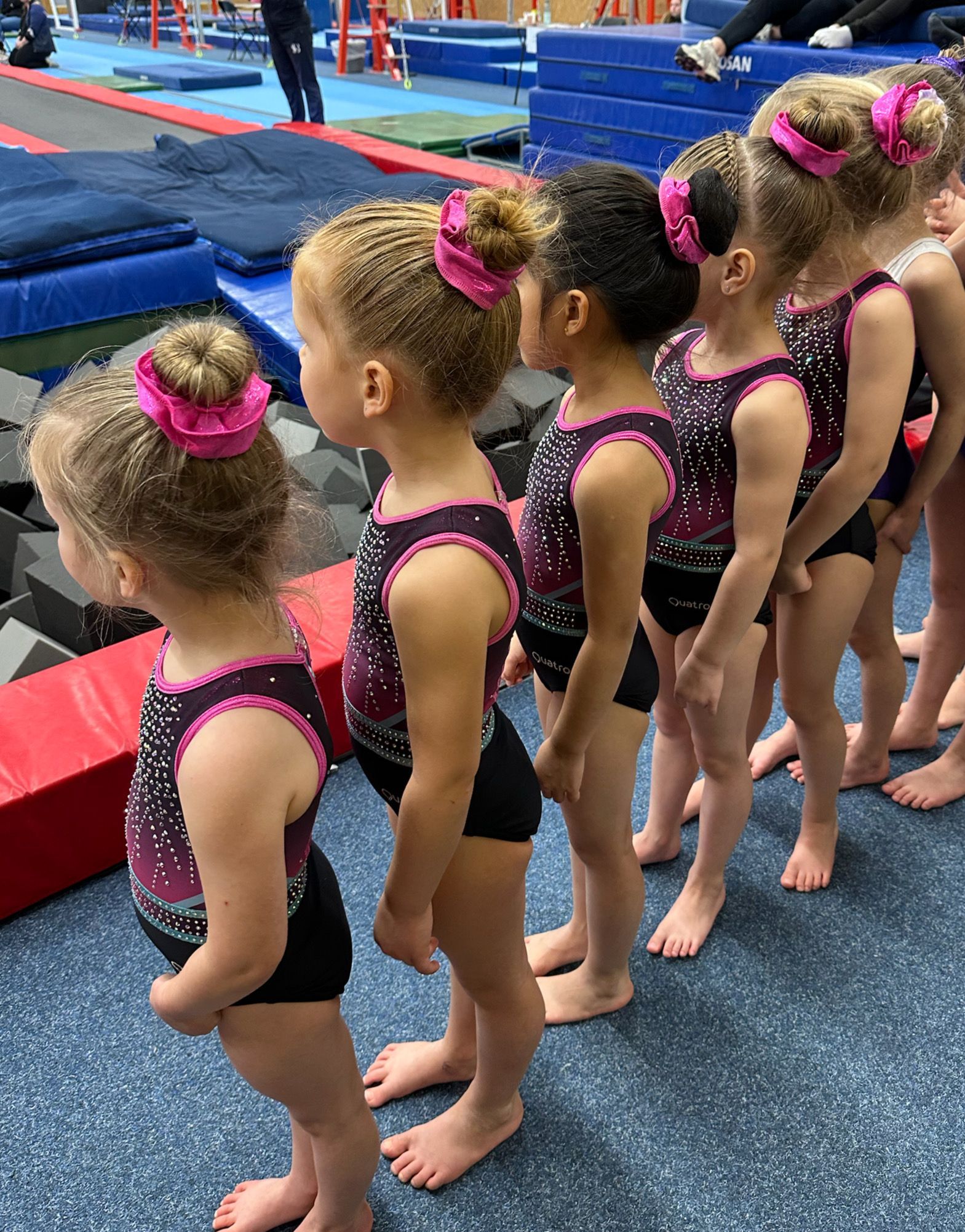 Turnover Gymnastics Waddinxveen pegasus overslag craft