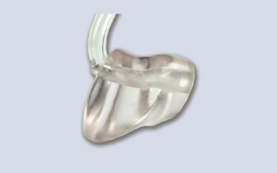 Auricolari