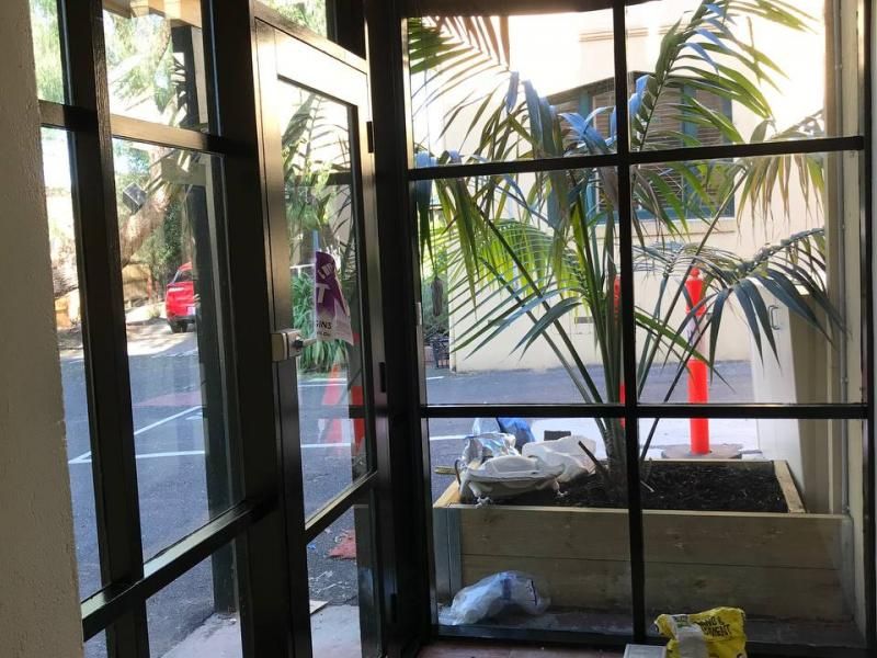 A building with a lot of windows and a potted plant in front of it