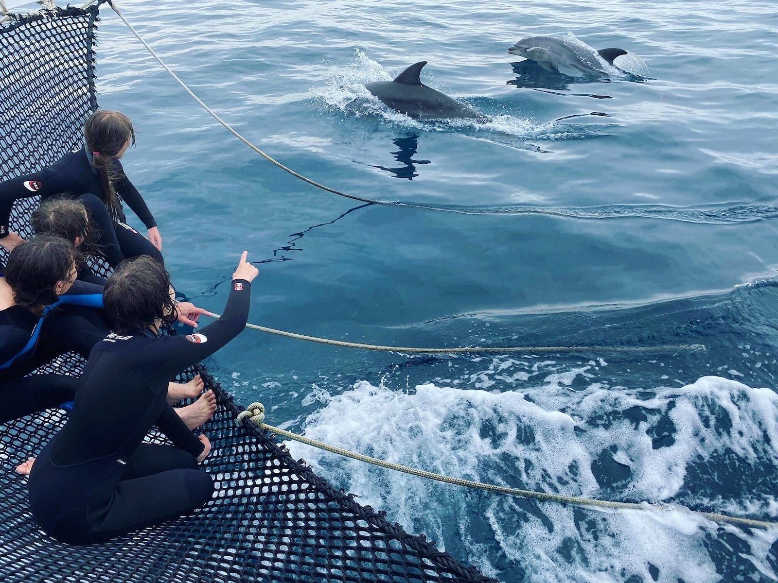 People on a boat watch dolphins swim in the ocean, one person points.