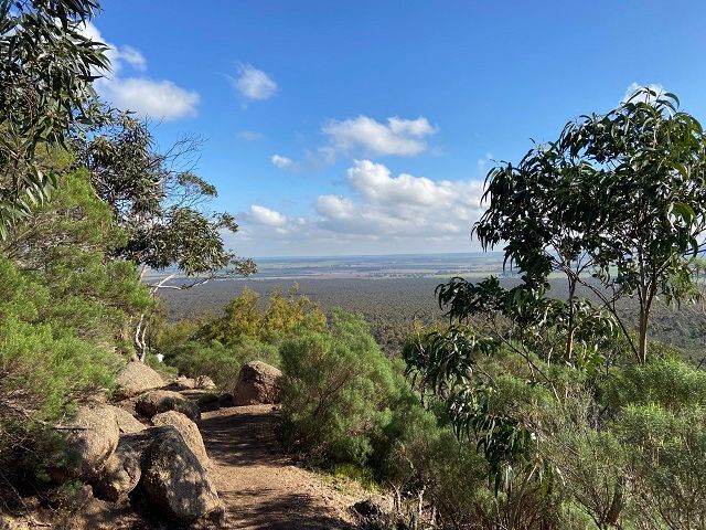 Hiking trail overlooking a vast plain, framed by green trees, under a blue sky with clouds.