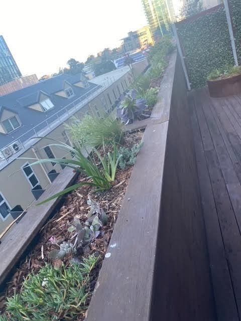 landscape-design-012