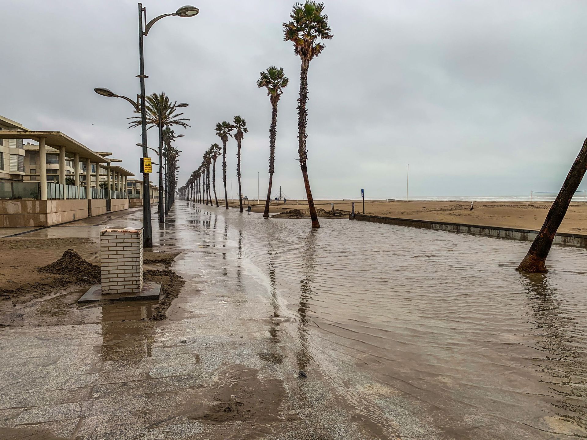 Flooded seaside promenade with palm trees, streetlights, and muddy water under a gray sky