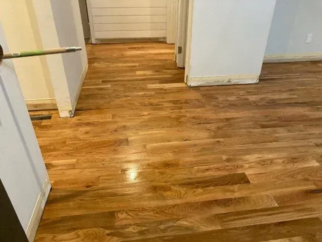 A hallway with a wooden floor and a door.