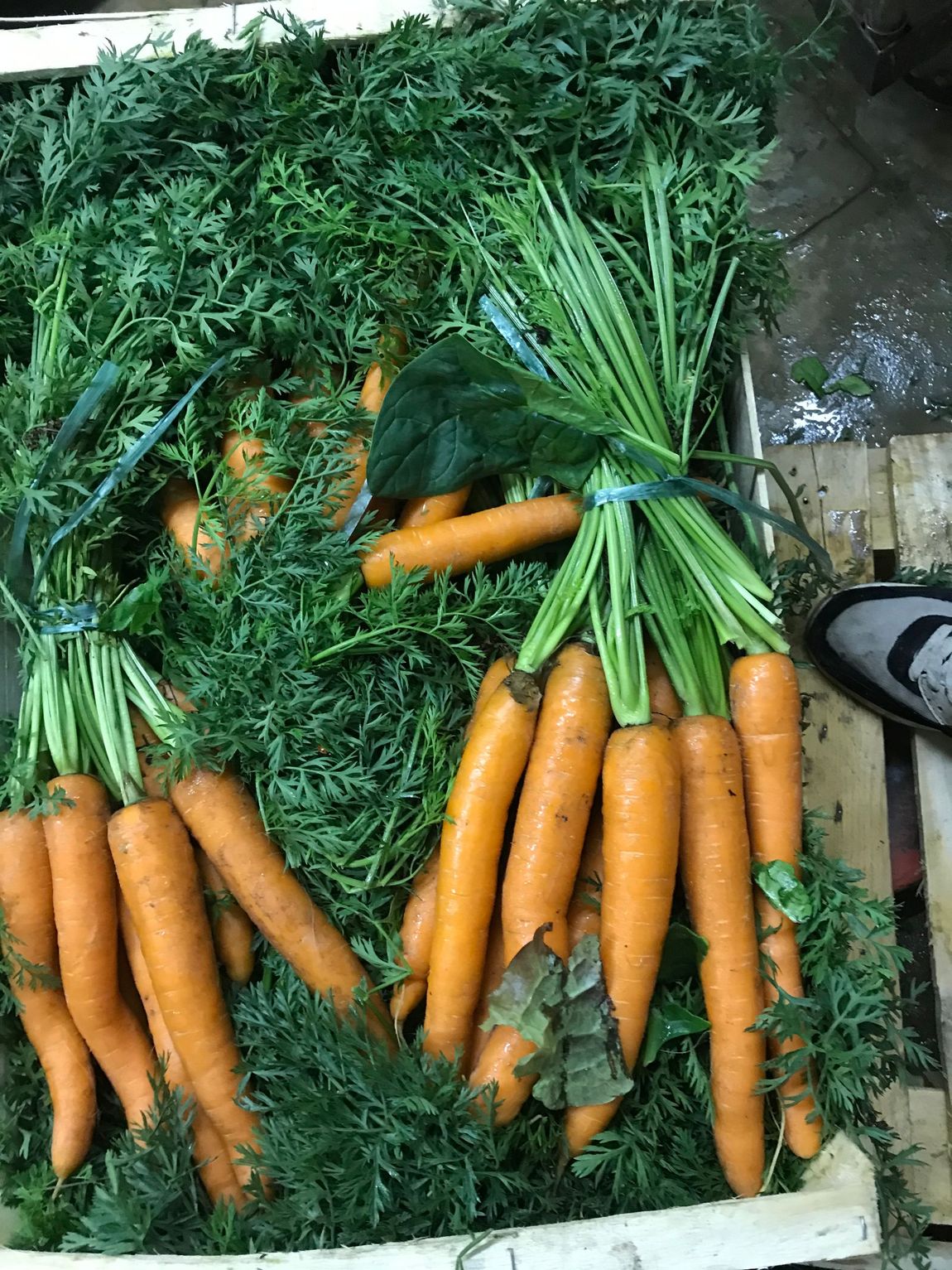 carottes locales essonne