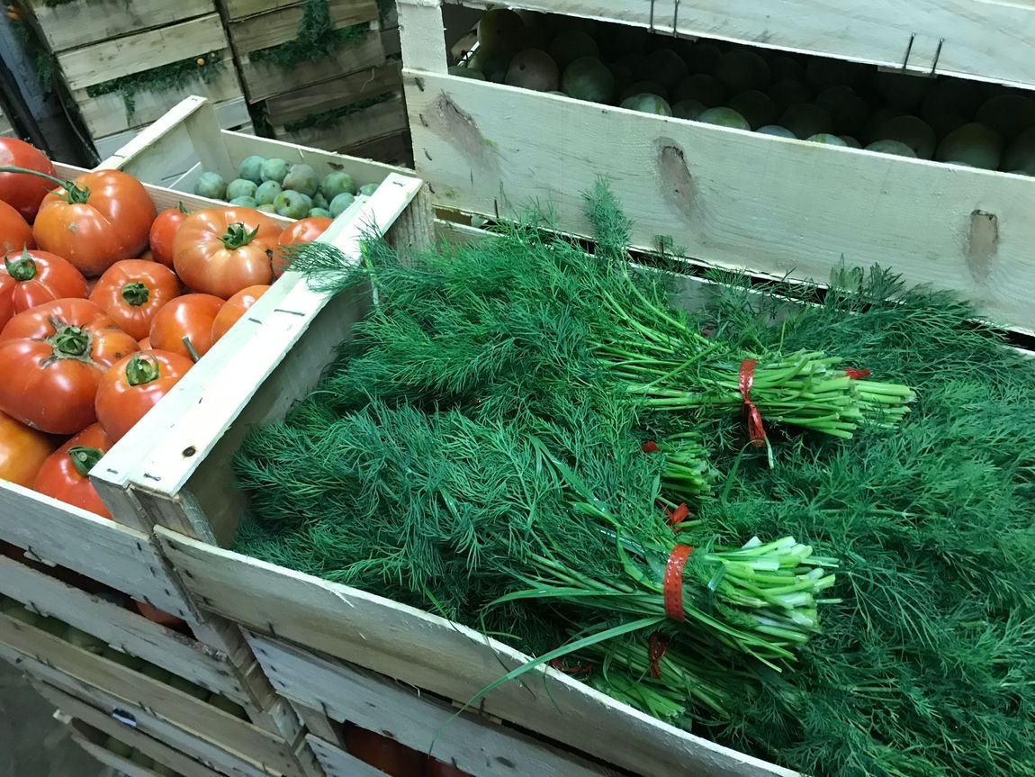 aneth et herbes fraiches essonne