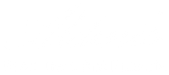 Aldinis Logo
