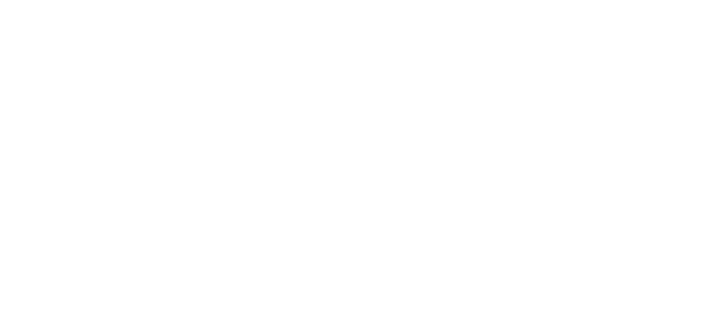 Aldinis Logo Text Only