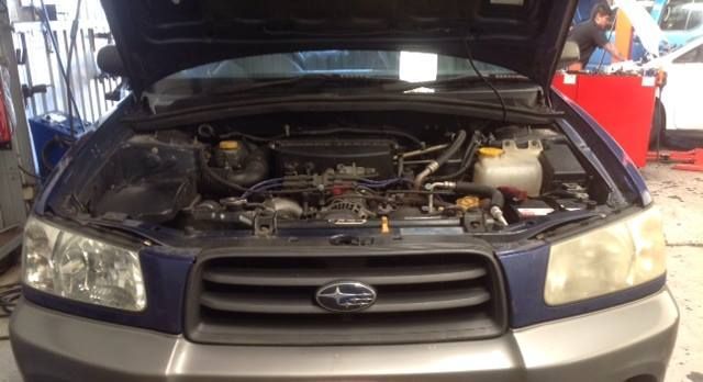 Blue Subaru Forester With the Hood Open, Revealing the Engine — Warners Bay Tyre & Mechanical in Warners Bay, NSW