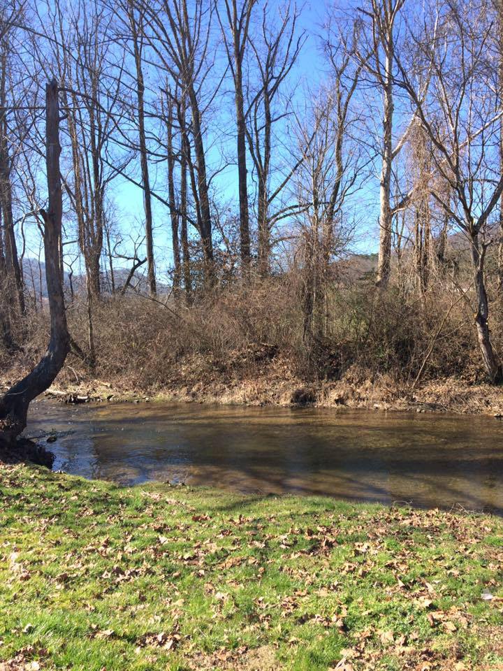 The Hamptons RV Park & Campground