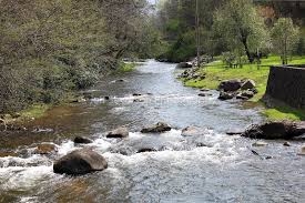 A river flowing through a park surrounded by trees and rocks.