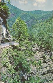 A train is going down a mountain road surrounded by trees.
