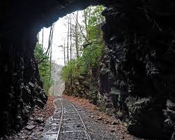 A train track going through a tunnel in the woods.