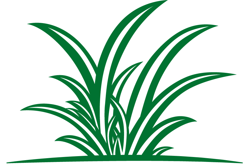 Grass Icon