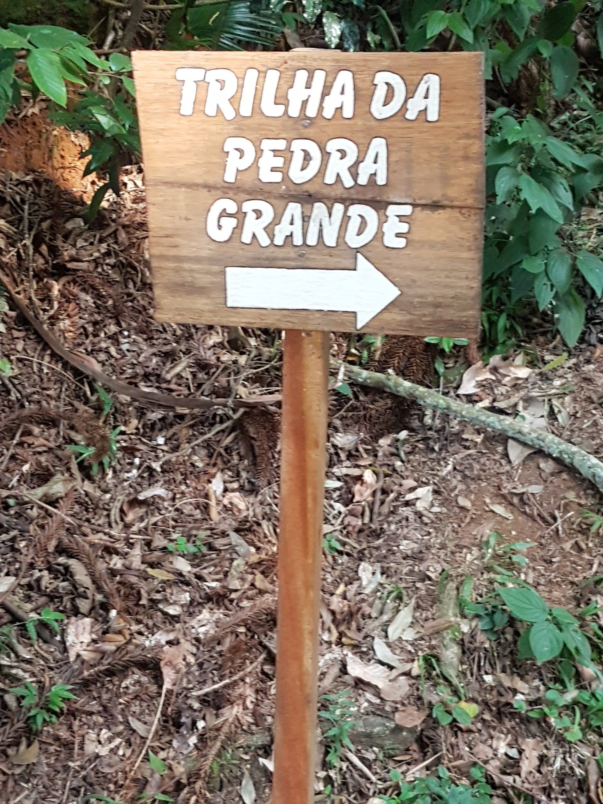 Trilha, caminhada, paisagens