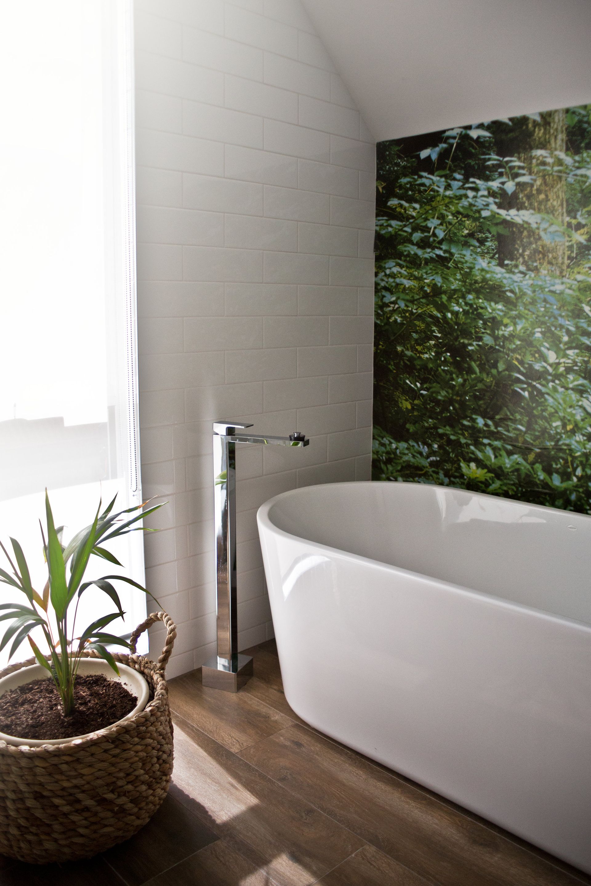 A bathroom with a bathtub and a potted plant.
