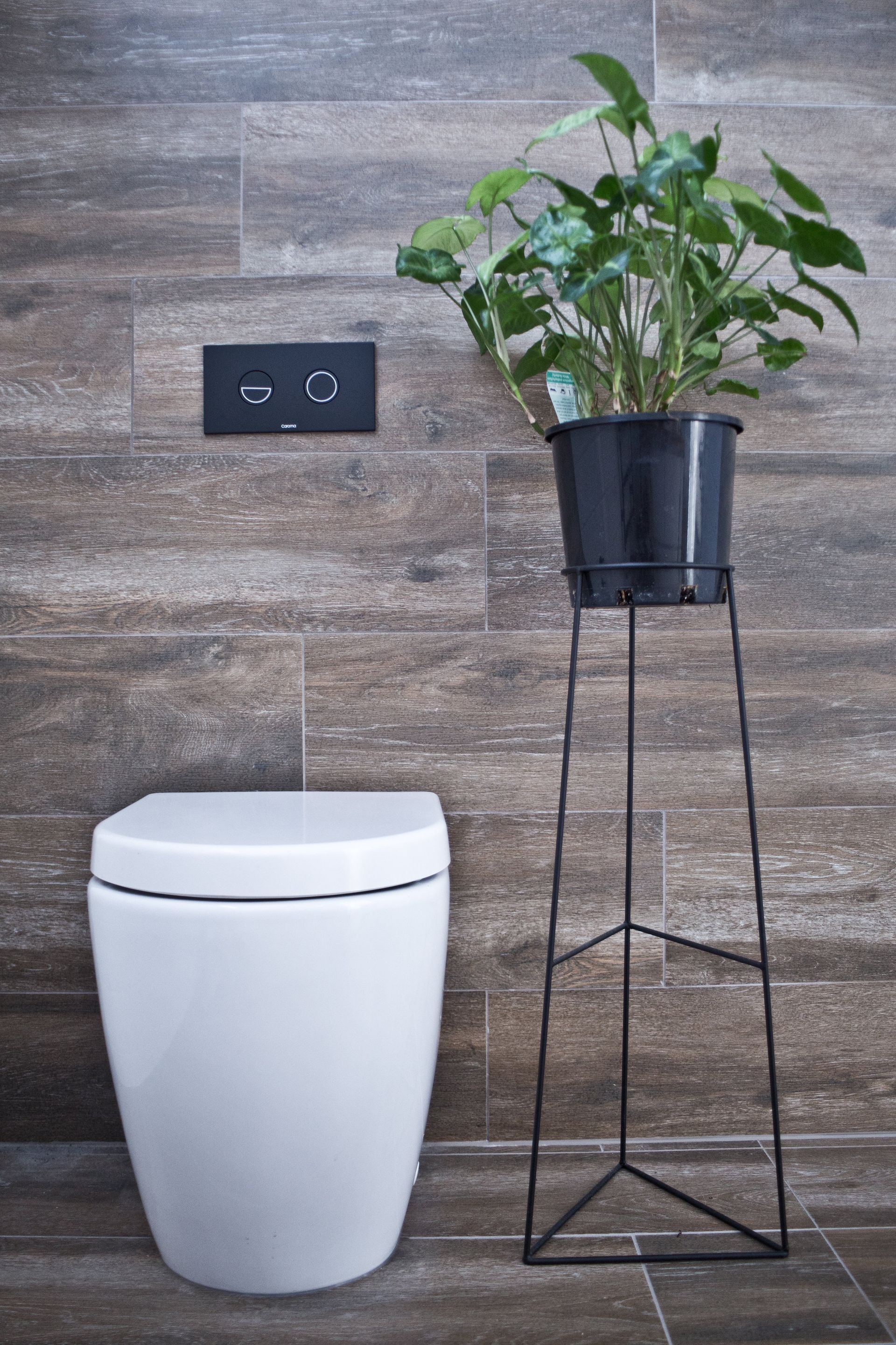 A toilet and a potted plant in a bathroom.