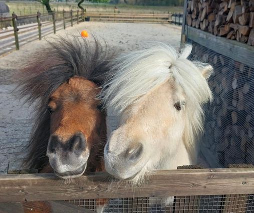 Kamperen op de Veluwe