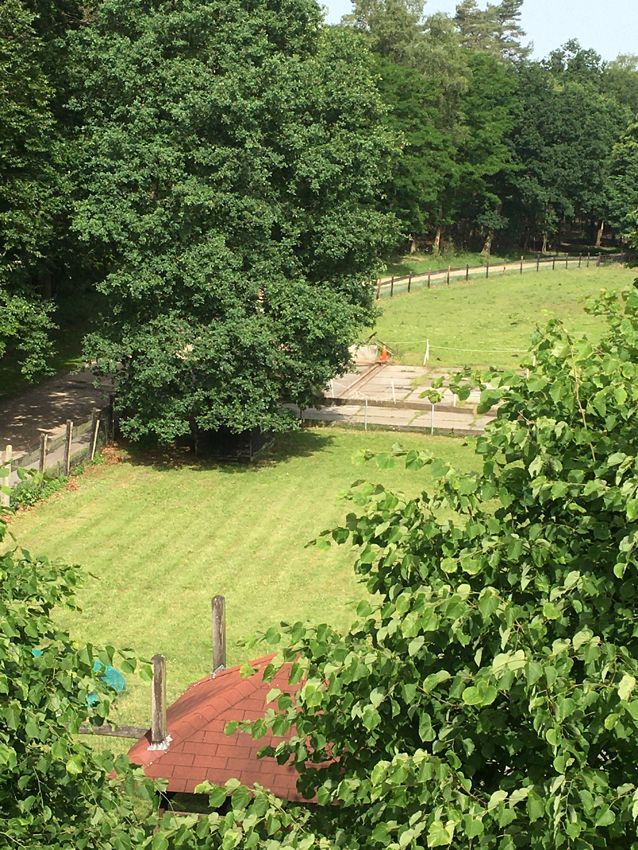 Vanaf ons erf rijdt u zo het bos in.