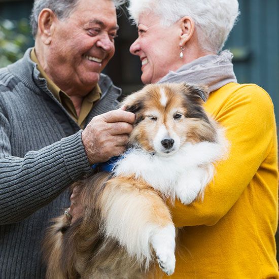 Elderly Couple With Their Pet — Aliso Viejo, CA — Ascent Insurance